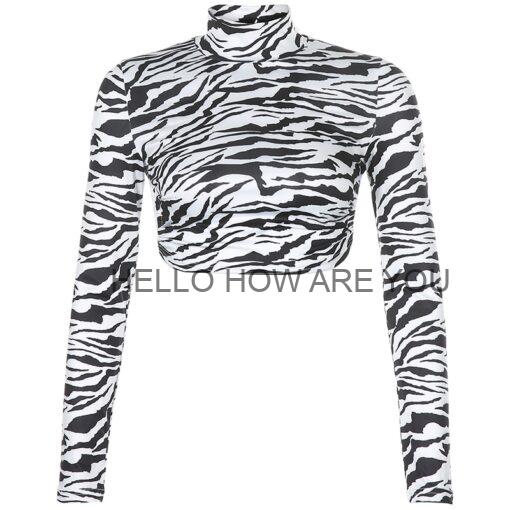 Animal Zebra Print Egirl Crop Top