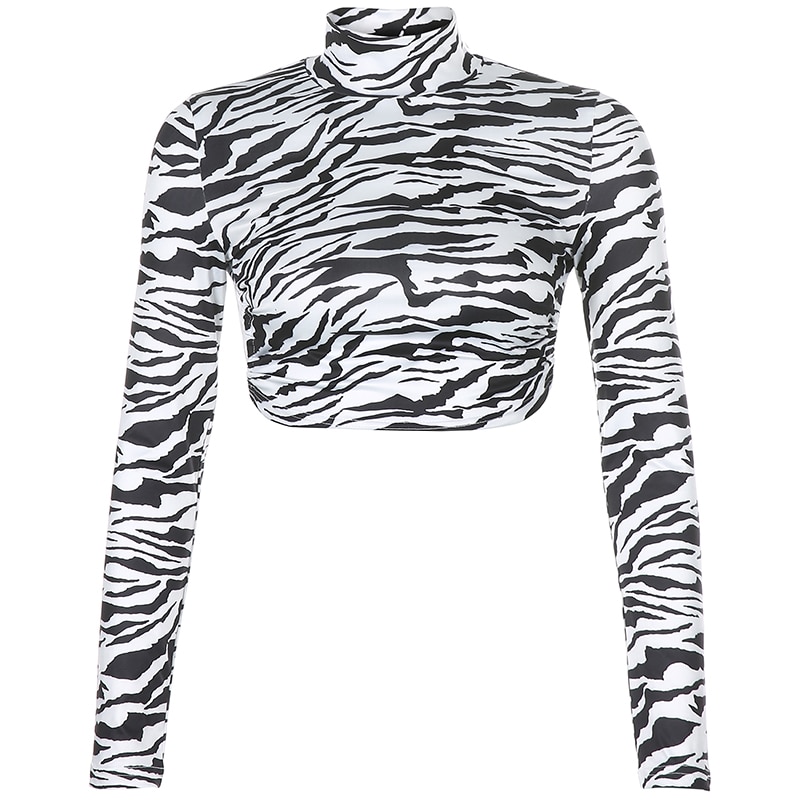 Animal Zebra Print Egirl Crop Top